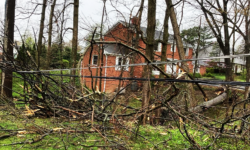 Daños por tormentas en Indiana el sábado 19 de abril de 2025