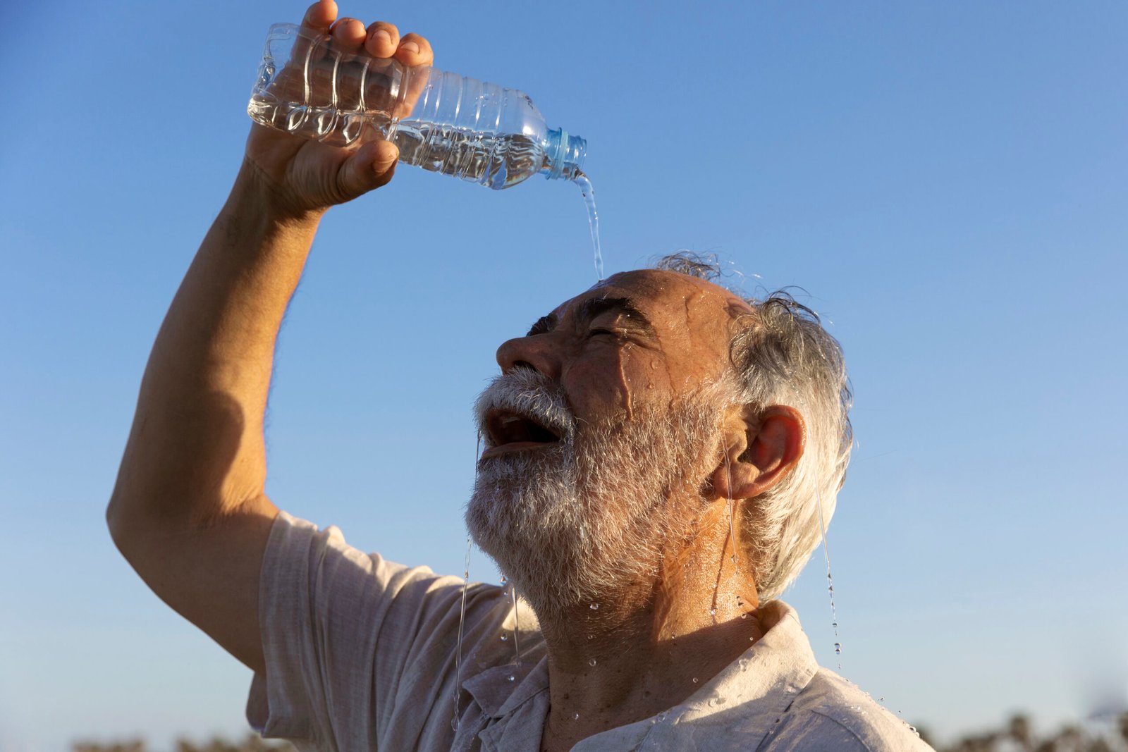 recomendaciones ola de calor