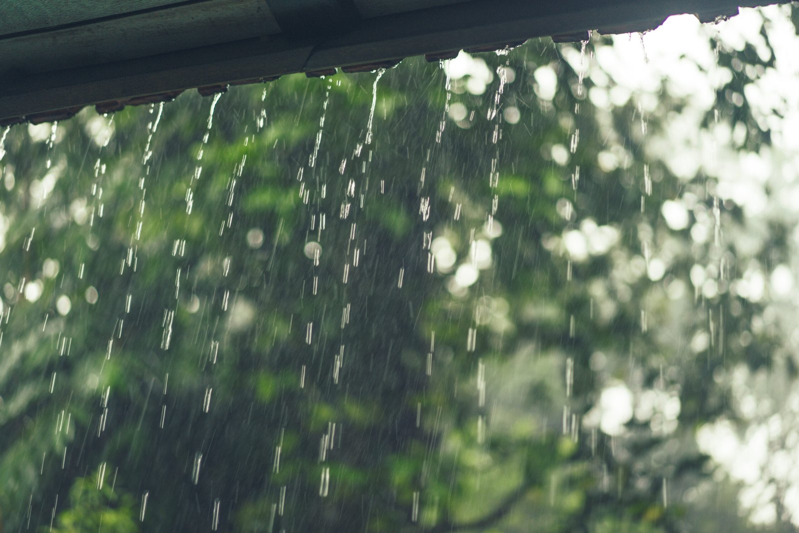 tormentas por la tarde en Indiana
