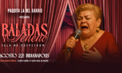 noche de despecho indianapolis